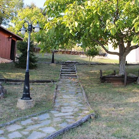 Dimitra'S Villas Elatochorion Bagian luar foto