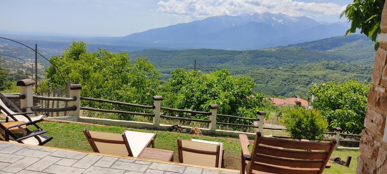 Dimitra'S Villas Elatochorion Bagian luar foto