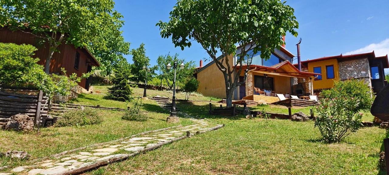 Dimitra'S Villas Elatochorion Bagian luar foto