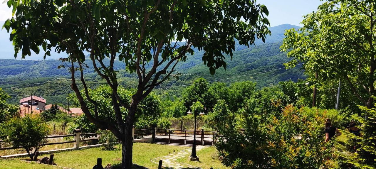 Dimitra'S Villas Elatochorion Bagian luar foto