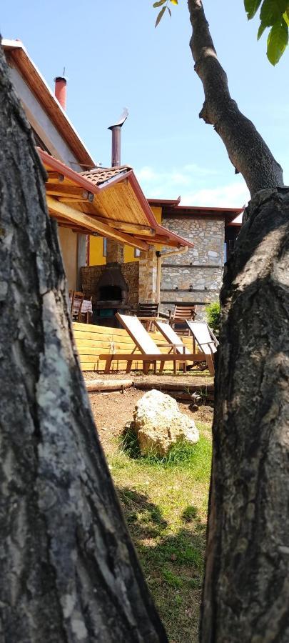 Dimitra'S Villas Elatochorion Bagian luar foto