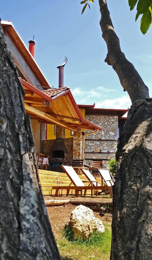 Dimitra'S Villas Elatochorion Bagian luar foto