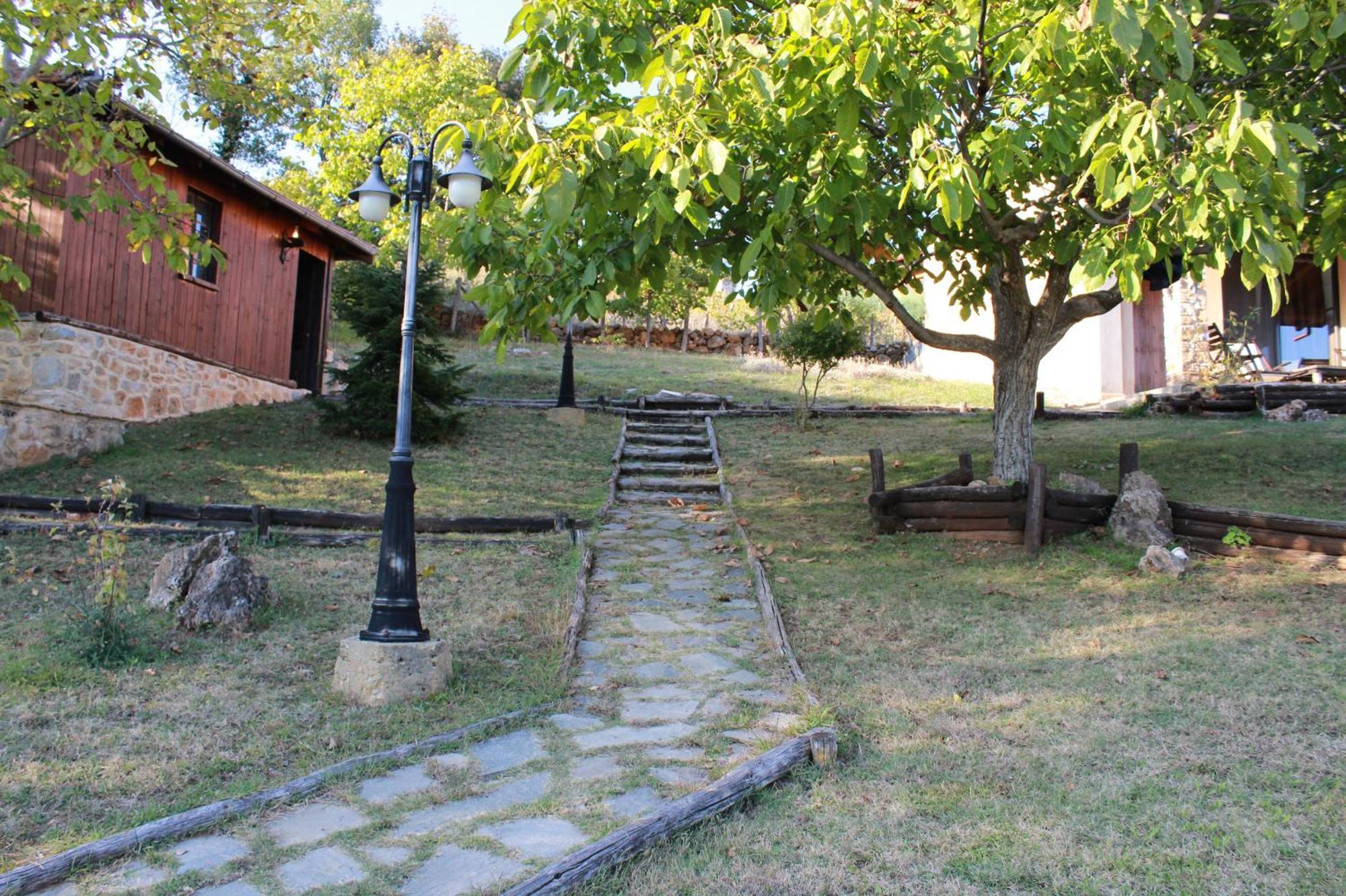 Dimitra'S Villas Elatochorion Bagian luar foto
